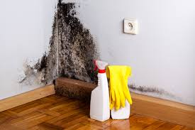 Mold Removal for HVAC Installations in Beesleys Point, NJ